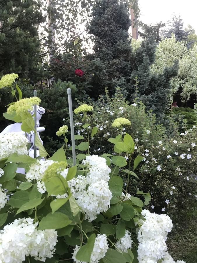 Дома для отпуска Provence Славское-31