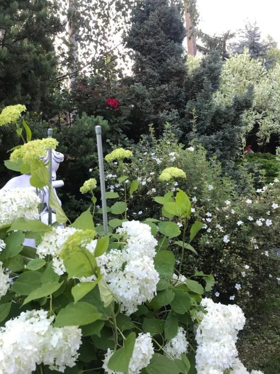 Дома для отпуска Provence Славское-67
