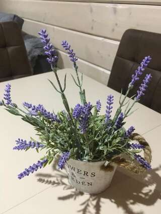 Дома для отпуска Provence Славское Дом с 3 спальнями-81