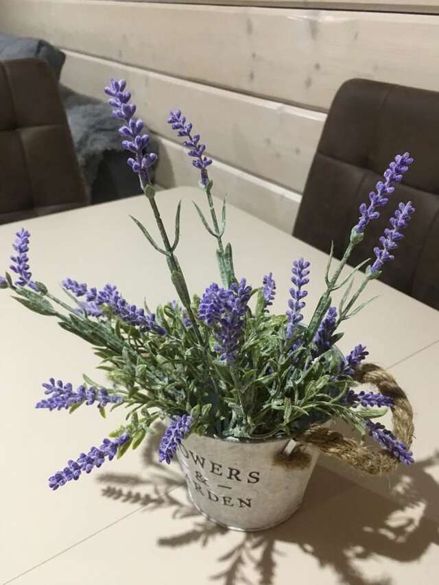 Дома для отпуска Provence Славское-12